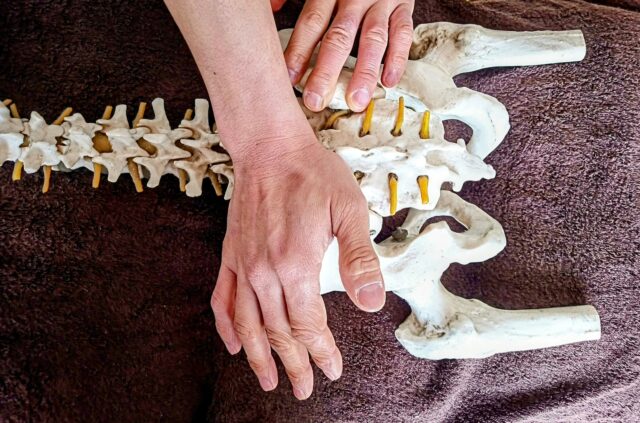 骨盤ケアを始めたいけど不安な人のための入門ガイド